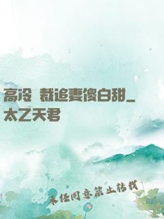 高冷總裁追妻傻白甜