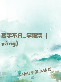 高手不凡