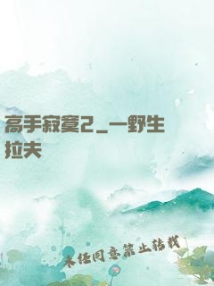 高手寂寞2