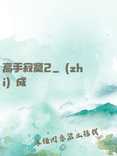 高手寂寞2