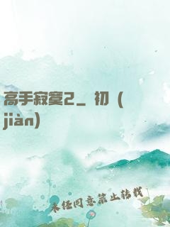 高手寂寞2