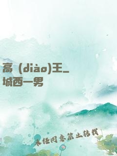高調(diào)王