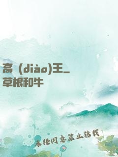 高調(diào)王