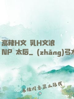 高辣H文亂乳H文浪蕩NP蕭太后