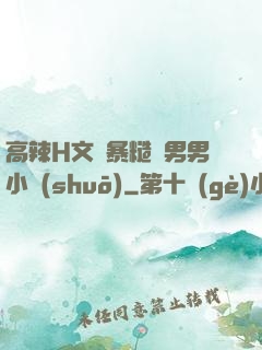 高辣H文黃暴糙漢男男小說(shuō)
