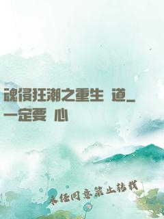 魂侵狂潮之重生問道