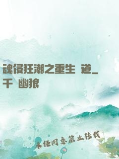 魂侵狂潮之重生問道