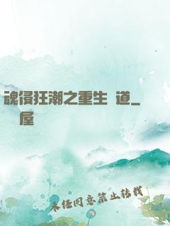 魂侵狂潮之重生問道