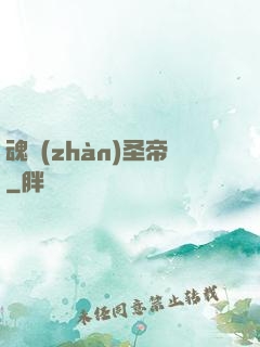 魂戰(zhàn)圣帝