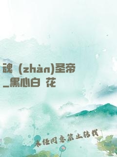魂戰(zhàn)圣帝