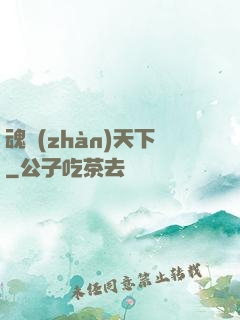 魂戰(zhàn)天下