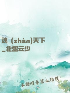 魂戰(zhàn)天下