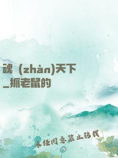 魂戰(zhàn)天下