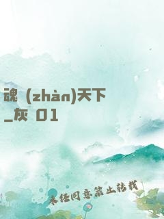 魂戰(zhàn)天下