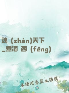 魂戰(zhàn)天下
