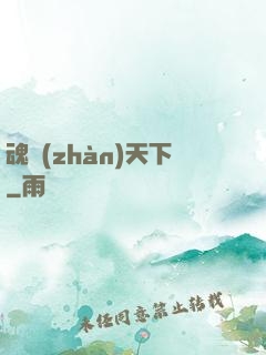 魂戰(zhàn)天下