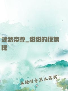 魂武帝尊