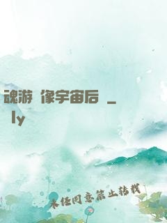 魂游鏡像宇宙后傳