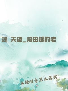 魂煉天道