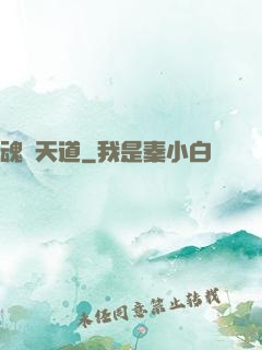魂煉天道