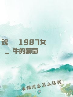 魂銷驪宮1987女兒國