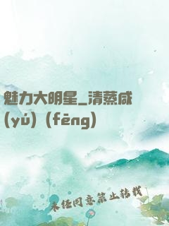 魅力大明星