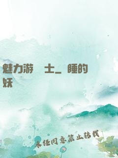 魅力游戲劍士