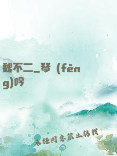 魏不二
