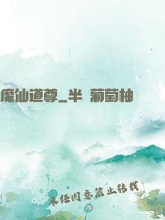 魔仙道尊