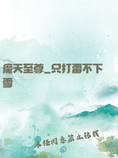 魔天至尊