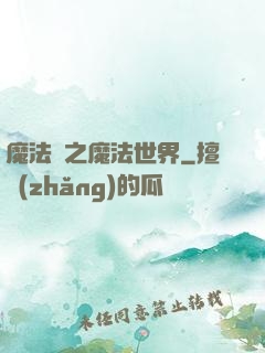 魔法師之魔法世界