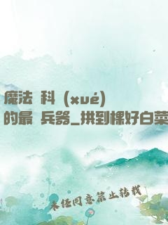 魔法與科學(xué)的最終兵器