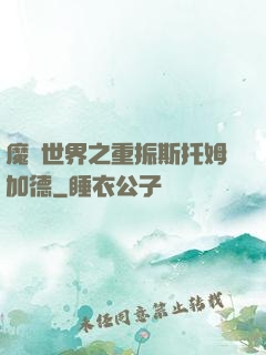 魔獸世界之重振斯托姆加德