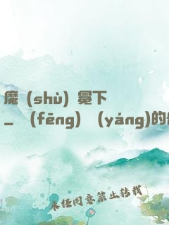魔術(shù)師冕下