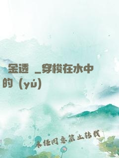 黃金透視