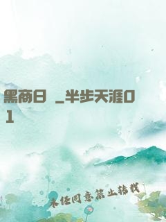 黑商日記