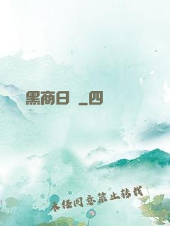黑商日記