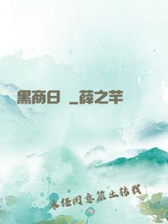 黑商日記