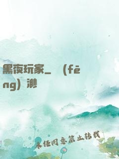 黑夜玩家