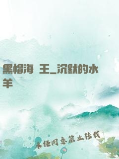 黑帽海賊王