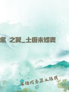黑淵之翼