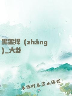 黑金探長(zhǎng)