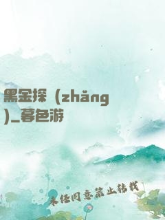黑金探長(zhǎng)