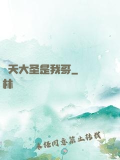 齊天大圣是我哥