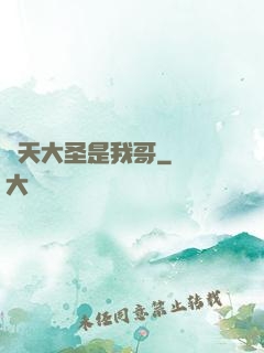 齊天大圣是我哥