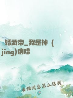 龍婿武帝
