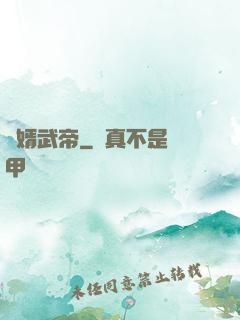 龍婿武帝