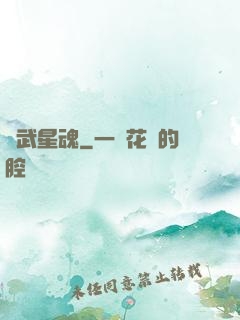 龍武星魂