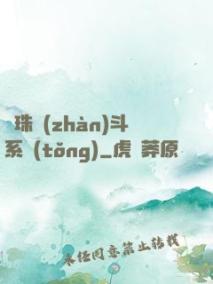 龍珠戰(zhàn)斗系統(tǒng)