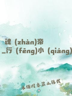 龍魂戰(zhàn)帝